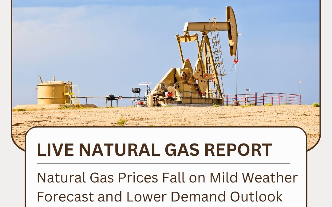 LIVE NATURAL GAS REPORT UPDATED BY WAY COMMODITY IF YOU WANT TO KNOW ANY INFORMATION ABOUT NATURAL GAS CONTACT US @9068788160 www.waycommo.co