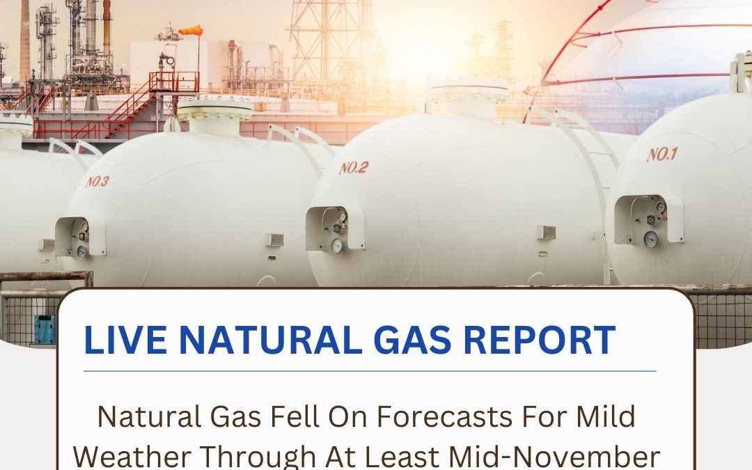 LIVE NATURAAL GAS REPORT UPDATED BY WAY COMMODITY IF YOU WANT TO KNOW ANY INFORMATION ABOUT NATURAL GAS CONTACT US @9068788160 www.waycommo.co