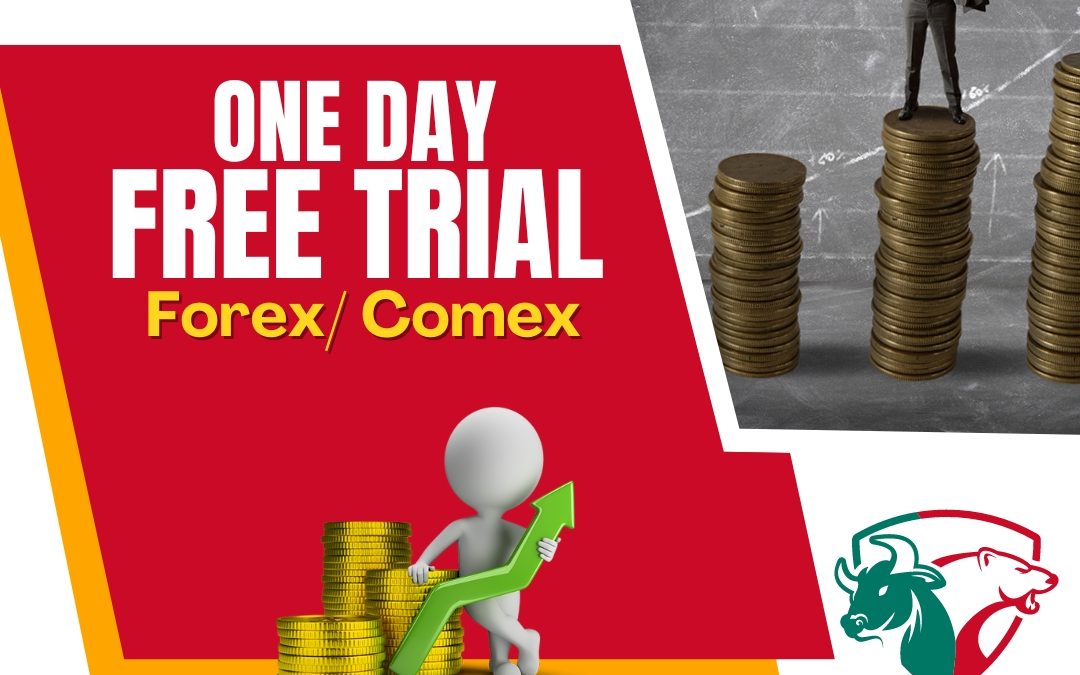 Book One Day Free Trial In Comex / Forex, By www.accurcommo.com, Get Highly COMEX & FOMEX Tips.