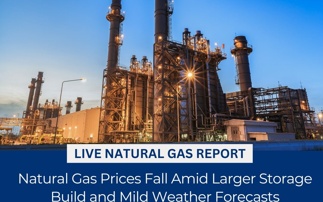 LIVE NATURAL GAS REPORT UPDATED BY WAY COMMODITY IF YOU WANT ANY INFORMATION ABOUT NATURAL GAS CONTACT US @9068788160 www.waycommo.co