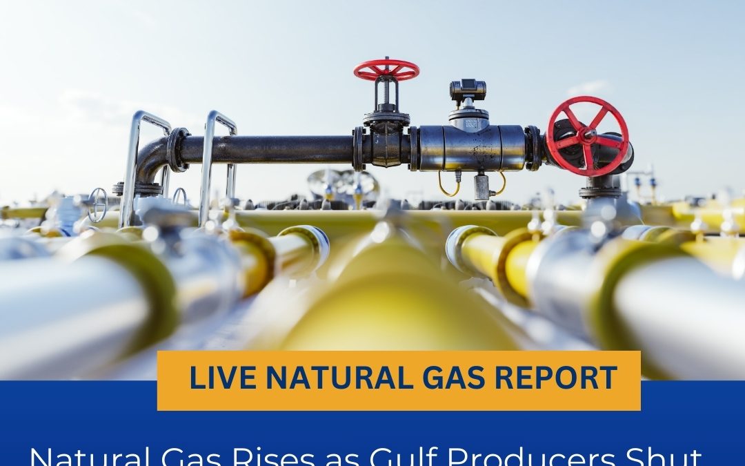 LIVE NATURAL GAS REPORT BY WAY COMMODITY IF YOU WANT ANY INFORMATION CONTACT US @9068788160