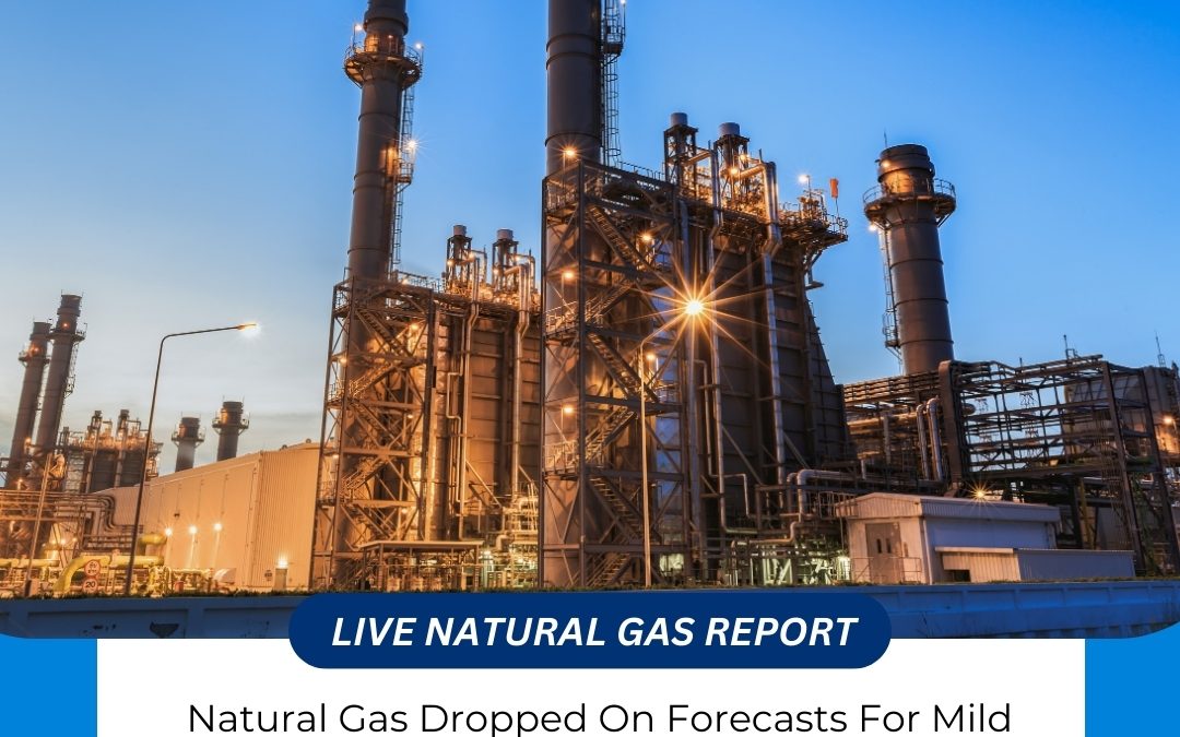 LIVE NATURAL GAS REPORT UPDATED BY WAY COMMODITY IF YOU WANT ANY INFORMATION ABOUT NATURAL GAS CONTACT US @9068788160 www.waycommo.co